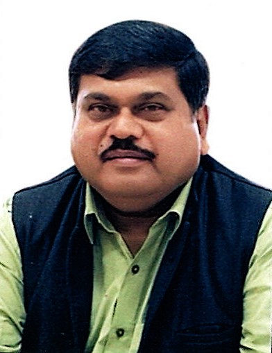 Dr. Subeer S. Majumdar